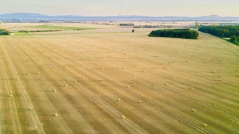Expose Ackerland in 2482 Münchendorf, Bez. Mödling , NÖ (Landw.) - zentral, direkt an Bauland angrenzend