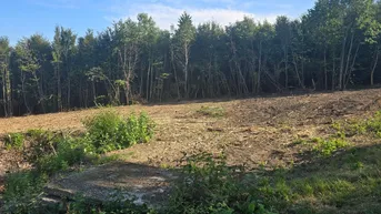 Expose NUR NOCH 1 BAUGRUNDSTÜCK - Rarität im Nahbereich von Wien - Baugrundstücke am Wald in Scheiblingstein