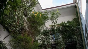 Blick in einen begrünten Innenhof mit üppiger Vegetation an den Balkonen und weißen Fassaden.