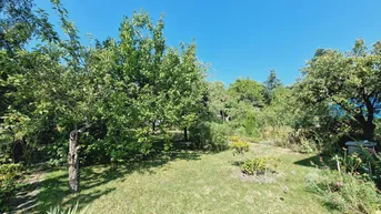 Expose DB IMMOBILIEN | Gartenparadies mit Altbestand !!!