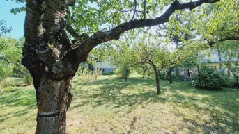 Expose DB IMMOBILIEN | Gartenparadies für Naturliebhaber !!!