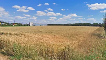Agrarflächen kaufen in Niederösterreich - ImmoScout24