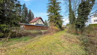 Expose ENTWICKLUNGSFREUNDLICHES BAUGRUNDSTÜCK FÜR WOHNPROJEKTE IN RUHIGER LAGE VON BÜRMOOS
