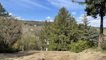 Expose Idyllischer Baugrund für Luxusvilla mit Baugenehmigung
