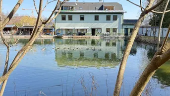 Expose Mietwohnhaus mit Naturbadeanlage und Wasserrecht!
