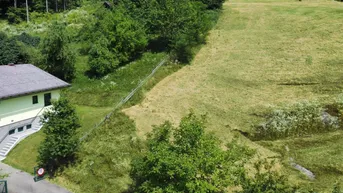 Expose Sonniger Baugrund am Waldrand