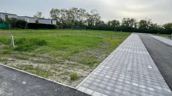 Expose Unbebauter Eigengrund in neu errichteter Kleingartenanlage | 210m² - Ost-West-Ausrichtung
