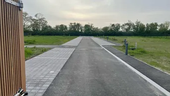 Expose Unbebauter Eigengrund in neu errichteter Kleingartenanlage | 278m² - Nord-Süd-Ausrichtung