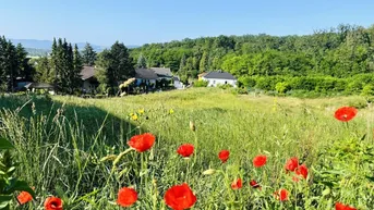 Expose Baugrundstück(e) in absoluter Bestlage von LEOBENDORF - BURG KREUZENSTEIN