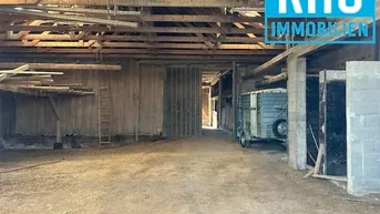 Expose ++++TIERHALTUNG - LAGERFLÄCHE - HALLE - AUZUGANG++++