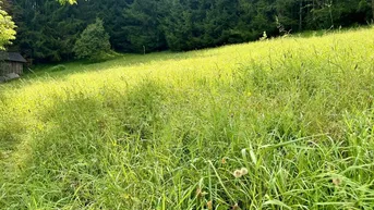Expose Attraktives Grundstück in Gröbming – Teilung in mehrere Grundstücke möglich
