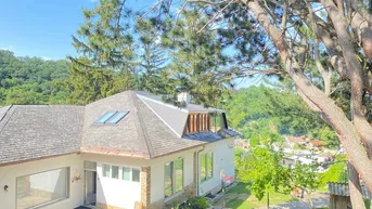Expose WG Zimmer in Villa im Wienerwald mit erhabener Aussicht
