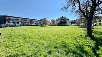 Expose Einfamilienhaus mit großen Grund in Leiben, nähe Melk, Preis verhandelbar!