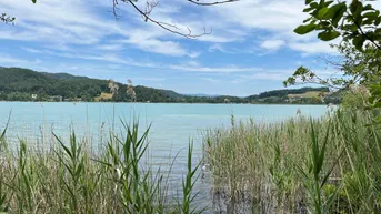 Expose Natur pur am Keutschacher See