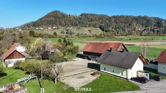 Expose Leben auf dem Land: Modernisiertes Bauernhaus mit Reiterhof und 3.200 m² Grund