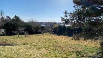 Expose Erstklassiges Grundstück in St. Pölten: 2.460 m² für € 1.230.000.- warten auf Sie!