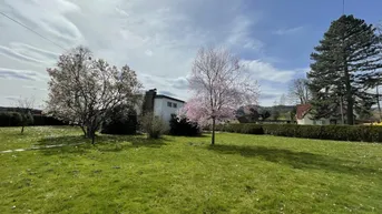 Expose Herrliche große Grünfläche mit zwei kleineren Häusern in sonniger, zentraler und ruhiger Wohnlage in Stainz