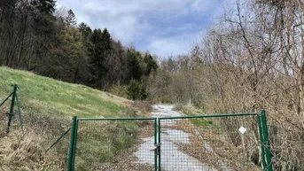 Expose Thal bei Graz/Idyllischer Baugrund in Hanglage mit Waldanteil