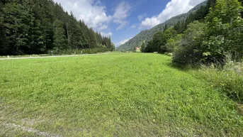 Expose Wald, Wiese und Leitungsrecht