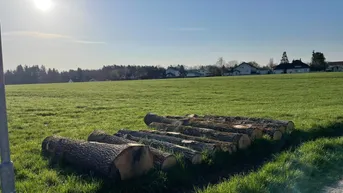 Expose Wunderschöne Baufläche in sonniger Ruhelage - verwirklichen Sie Ihre Vision in Lieboch