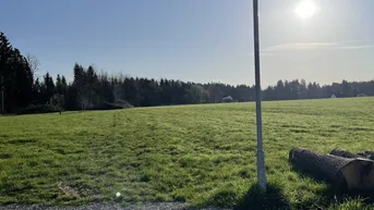 Expose Wunderschöne Baufläche in sonniger Ruhelage - verwirklichen Sie Ihre Vision in Lieboch