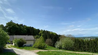 Expose Ehemalige Landwirtschaft mit Einfamilienhaus und drei Nebengebäude in traumhafter Alleinlage