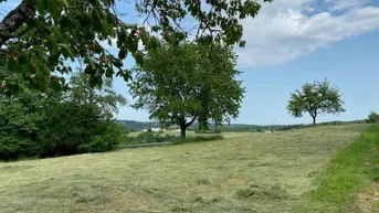 Expose Schönes großes Grundstück in Aussichtslage