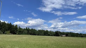 Expose Wunderschöne Baufläche in sonniger Ruhelage - verwirklichen Sie Ihre Vision in Lieboch