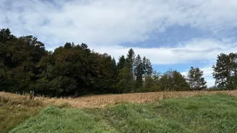 Expose Ihr Bauprojekt in St. Stefan i. R. – 5 Parzellen mit Potenzial