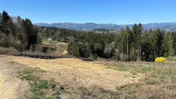Weitläufiges Grundstück mit freiem Blick auf die umliegende Natur und die Berge.