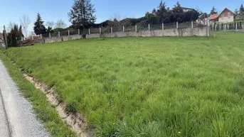 Großes grünes Grundstück mit Wiese, umzäuntem Bereich und Häusern im Hintergrund.