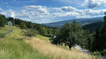 Weitläufige grüne Landschaft mit Hügeln und Bäumen unter blauem Himmel.