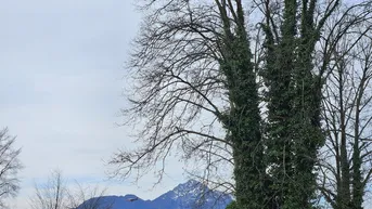 Expose Sonnenverwöhnte 3 Zi.-Wohnung mit herrlichem Ausblick, Loggia und Balkon in Salzburg Taxham + Einzelgarage mit Strom möglich 