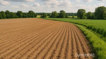 Expose Grundstück in Hitzing - Wilhering