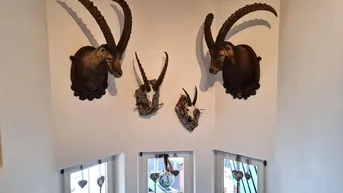 Expose Wohlfühlen auf Tirolerisch: Apartmenthaus in der Touristenhochburg St. Anton am Arlberg!