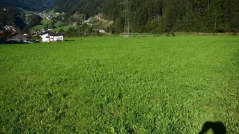 Weitläufige grüne Wiese mit beeindruckendem Bergblick und Häusern im Hintergrund.