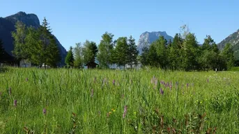 Expose Ebensee: 2 sonnige Grundstücke mit je ca. 610m² - in Seenähe!