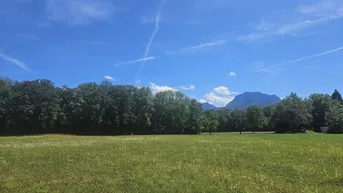 Expose Provisionsfrei! Neubauprojekt Holzhäuseln: leistbare 58m² ETW mit Garten in Waldrandlage mit Traunsteinblick