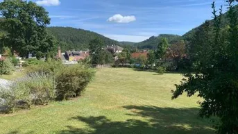 Expose 2484 m² Grundstück in 2564 Weißenbach/Triesting
