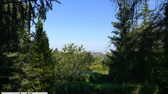 Expose Schöner Kleingarten-Baugrund mit eigener PKW Zufahrt und Wienblick!