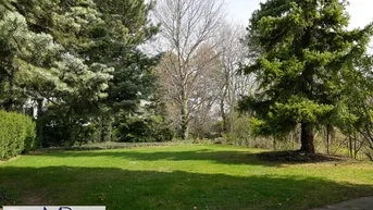 Großer, gepflegter Gartenbereich mit Rasenfläche und hohen Bäumen, ideal zum Entspannen im Grünen.