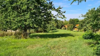 Expose TOP PREIS-LEISTUNGS-VERHÄLTNIS + Charmantes und helles Landhaus in wundervoller Lage+ Sonniger Garten 1.620 m² + 6 Zimmern und 2 Zufahrten++