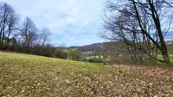 Expose Baugrund (5.444m²) in Traumlage in Grieselstein - Nähe Therme Loipersdorf!