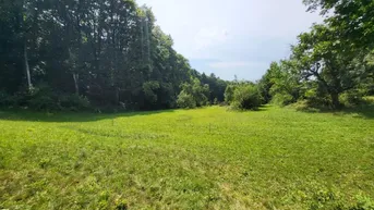 Expose Traumhaftes, sonniges Grundstück (4.680m²) in absoluter Ruhelage in Stadtbergen!