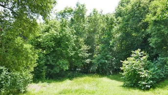 Expose Bauträgergrundstück mit Altbestand in Traumaussichtslage in Gablitz
