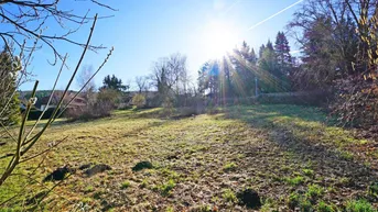 Expose Baugrundstück mit Ausblick in zentraler Ruhelage in Pressbaum