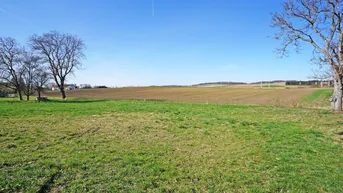 Expose Ebenes Grundstück in ländlicher Lage in Neulengbach