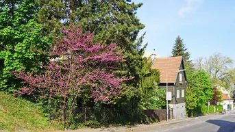 Expose Baugrund mit Altbestand in Hietzing Nähe St. Josef Krankenhaus