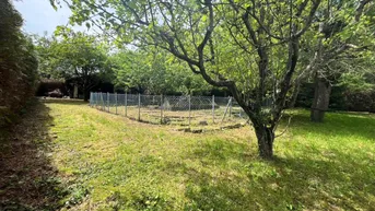 Expose Sonniger Baugrund in grüner Ruhelage am Tulbingerkogel