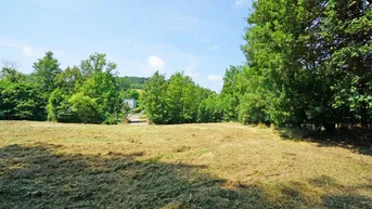 Expose Ebenes Baugrundstück in sonniger Ruhelage - nur 2 km vom Pressbaumer Zentrum